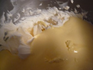 Classic Tiramisu 007