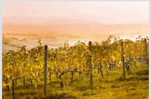 Screen shot 2011-11-11 at 1.55.36 PM